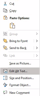 Menu with Edit Alt Text highlighted.