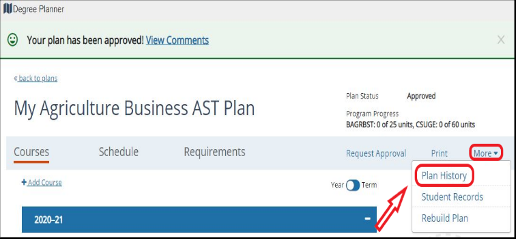 Menu with Plan History option next to the year on the plan, screenshot.